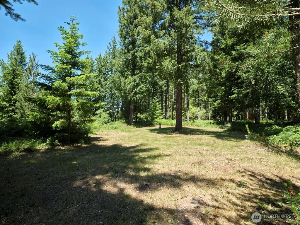 0 Loowit Lane Cougar WA 98616