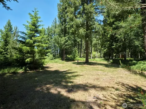 0 Loowit Lane Cougar WA 98616