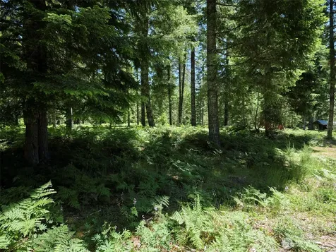 0 Loowit Lane Cougar WA 98616