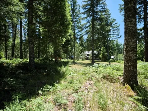 0 Loowit Lane Cougar WA 98616