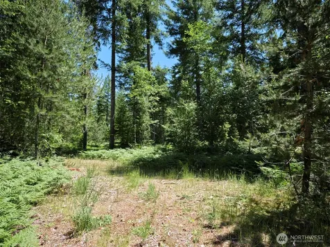0 Loowit Lane Cougar WA 98616