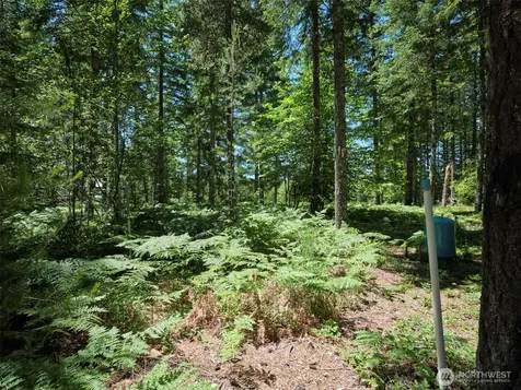 0 Loowit Lane Cougar WA 98616