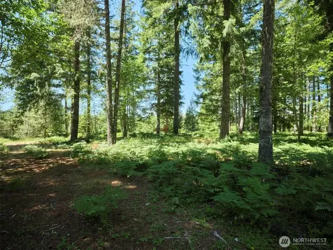 0 Loowit Lane Cougar WA 98616