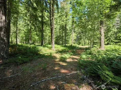0 Loowit Lane Cougar WA 98616