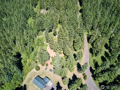 0 Loowit Lane Cougar WA 98616