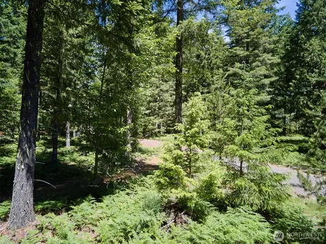 0 Loowit Lane Cougar WA 98616