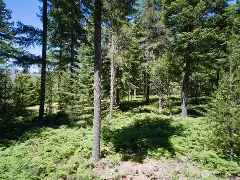 0 Loowit Lane Cougar WA 98616