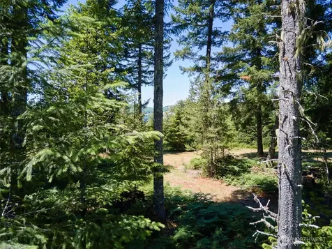 0 Loowit Lane Cougar WA 98616