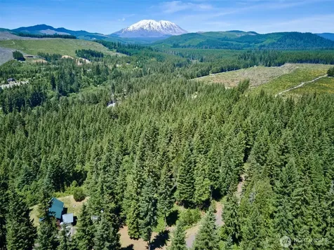 0 Loowit Lane Cougar WA 98616
