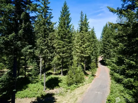 0 Loowit Lane Cougar WA 98616