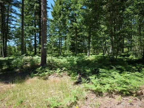 0 Loowit Lane Cougar WA 98616