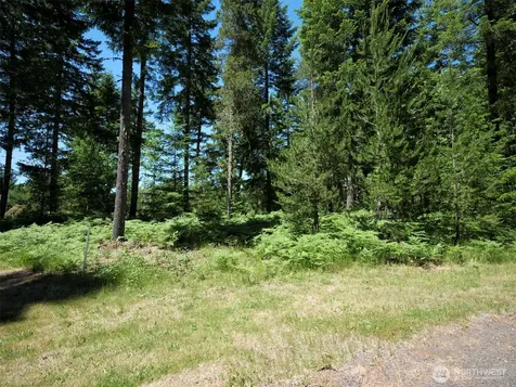 0 Loowit Lane Cougar WA 98616