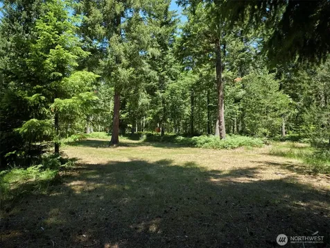 0 Loowit Lane Cougar WA 98616