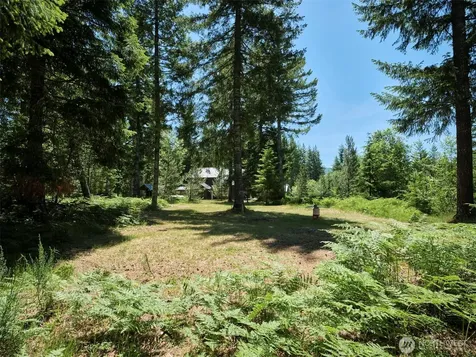 0 Loowit Lane Cougar WA 98616