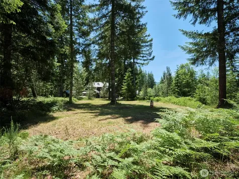 0 Loowit Lane Cougar WA 98616