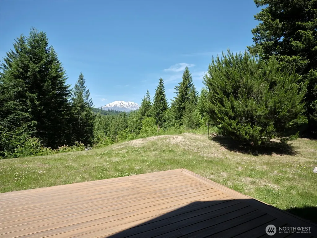 502 Loowit Lane Cougar WA 98616