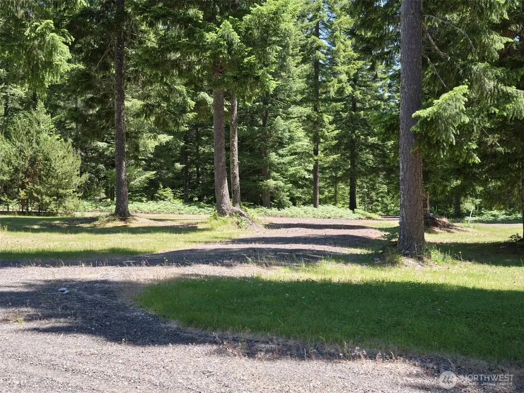 502 Loowit Lane Cougar WA 98616