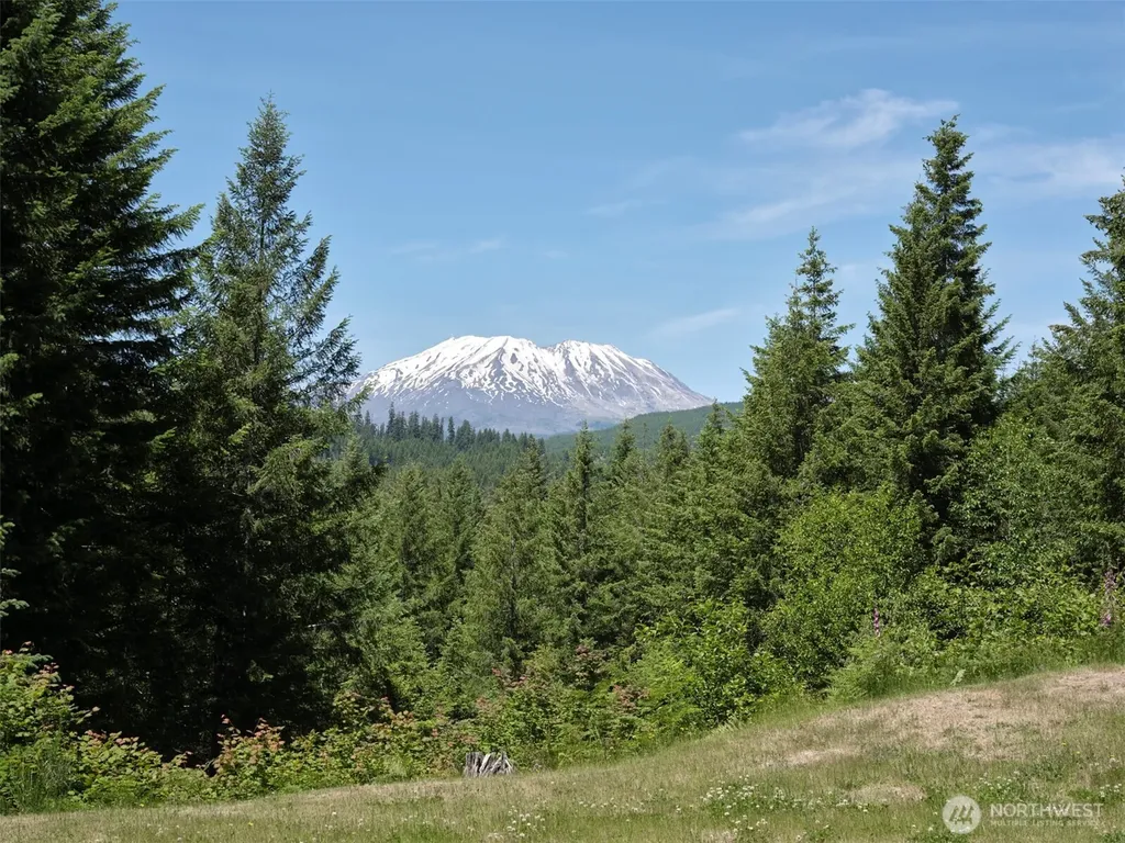 502 Loowit Lane Cougar WA 98616
