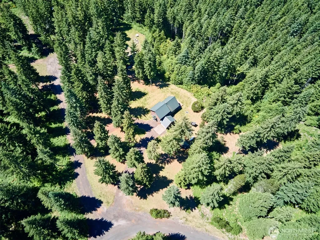 502 Loowit Lane Cougar WA 98616