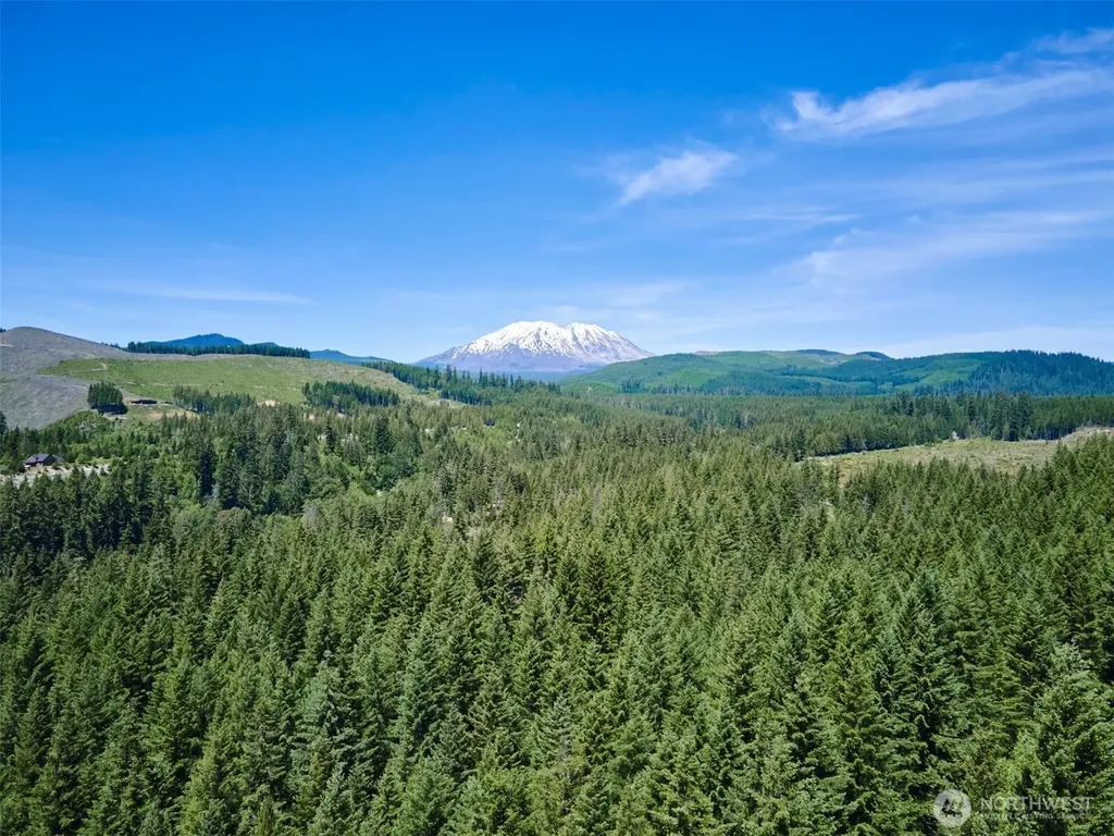 502 Loowit Lane Cougar WA 98616