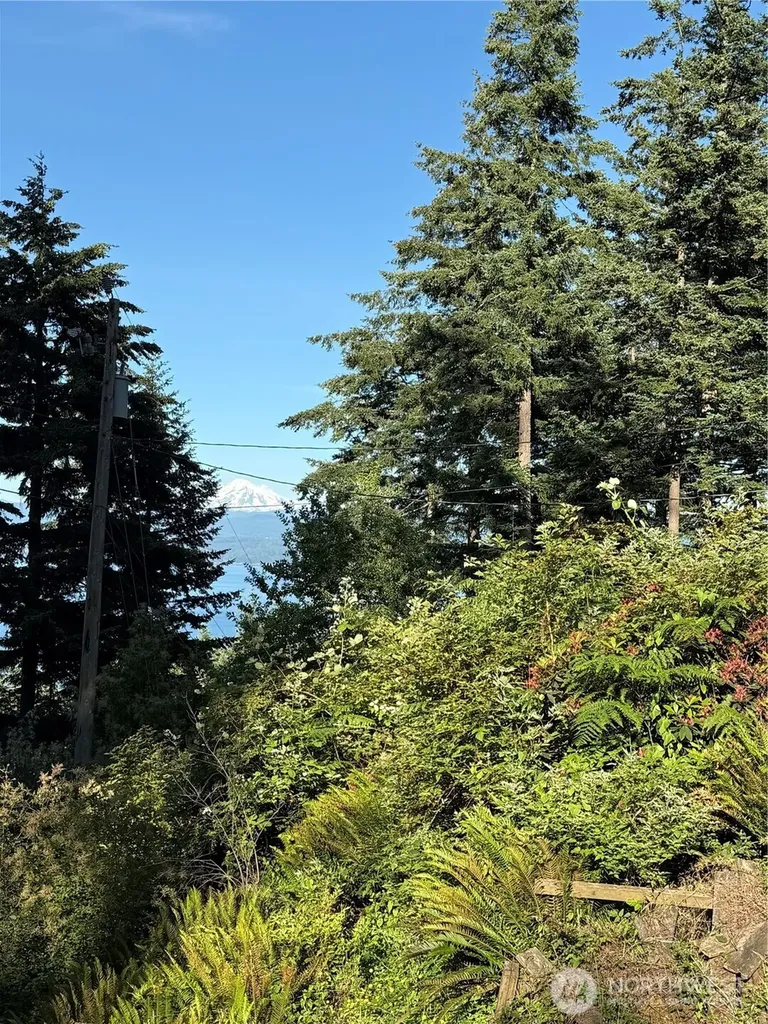 2959 Dogwood Terrace Lummi Island WA 98262