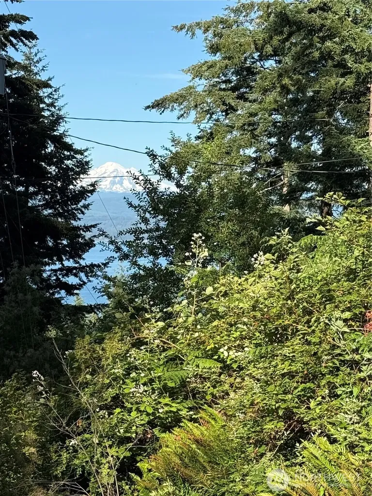 2959 Dogwood Terrace Lummi Island WA 98262