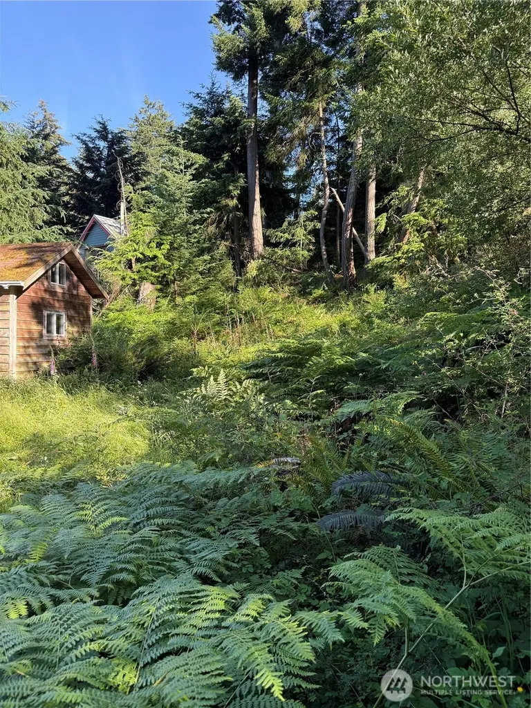 2959 Dogwood Terrace Lummi Island WA 98262