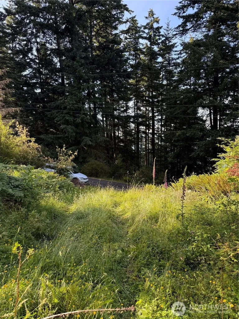 2959 Dogwood Terrace Lummi Island WA 98262