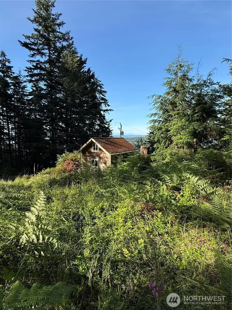 2959 Dogwood Terrace Lummi Island WA 98262