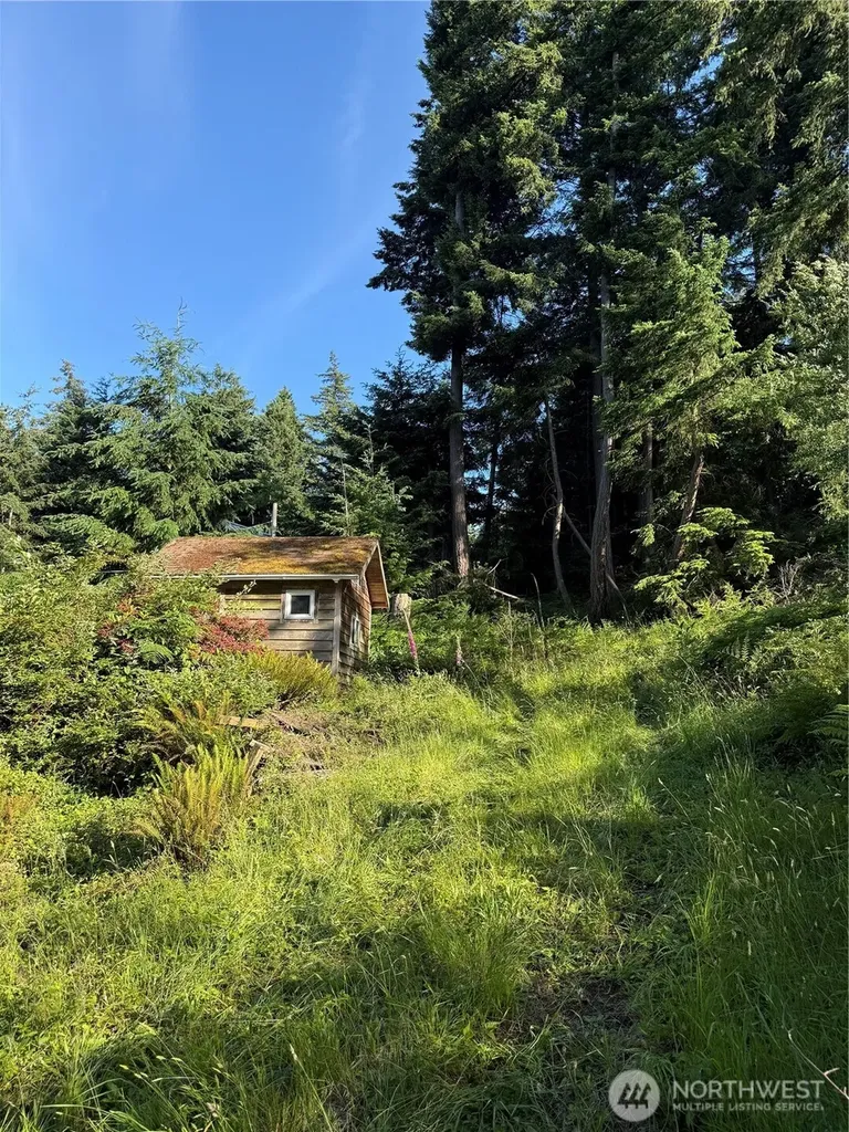 2959 Dogwood Terrace Lummi Island WA 98262