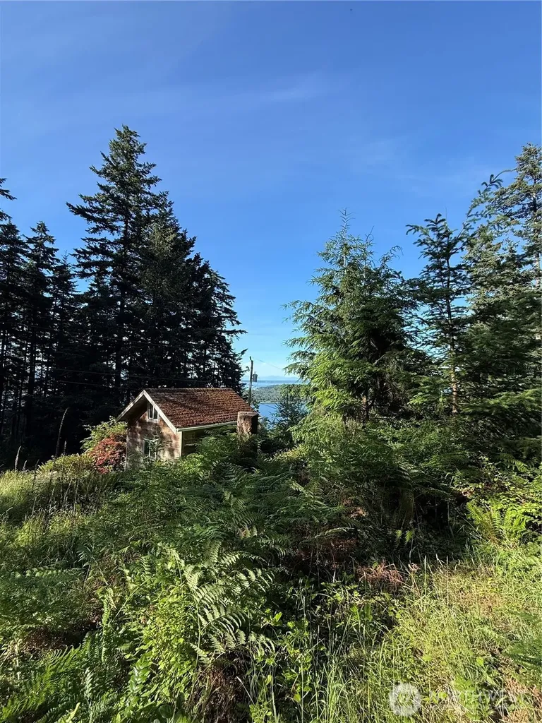 2959 Dogwood Terrace Lummi Island WA 98262