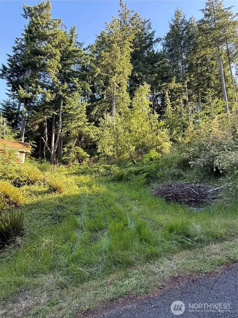 2959 Dogwood Terrace Lummi Island WA 98262