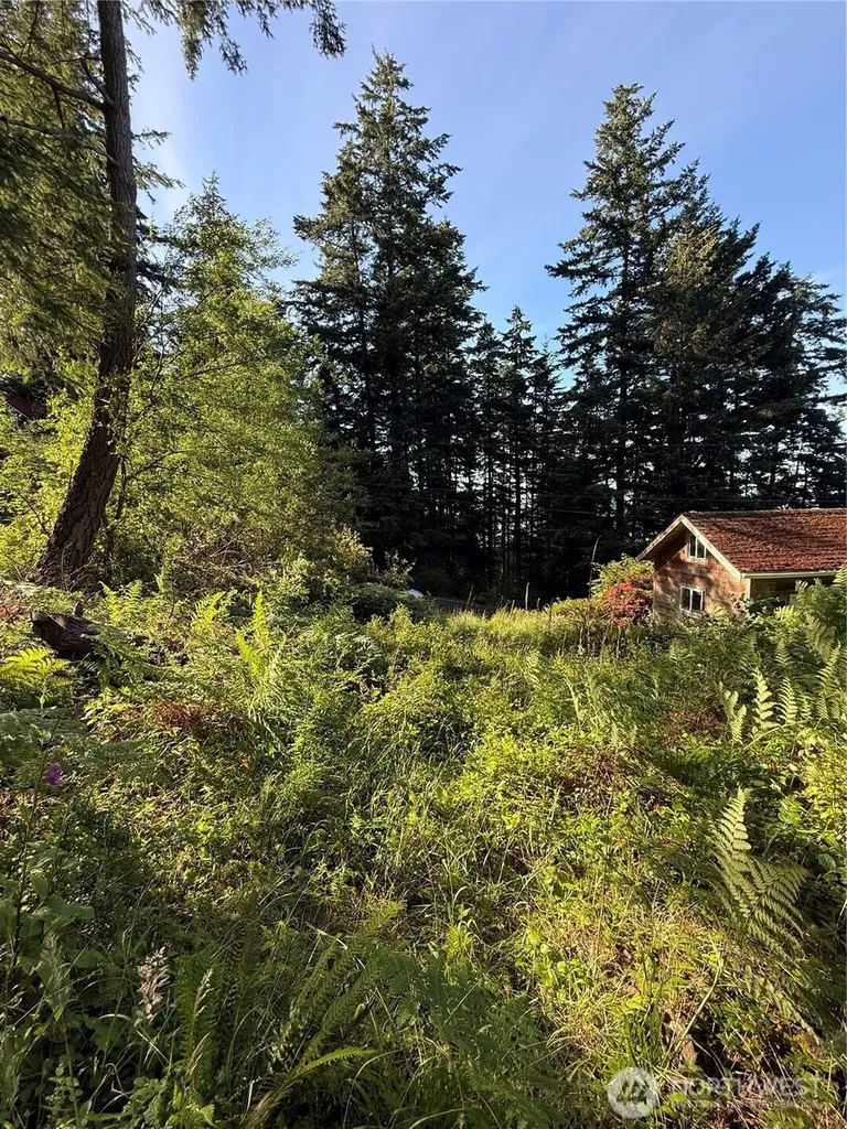 2959 Dogwood Terrace Lummi Island WA 98262