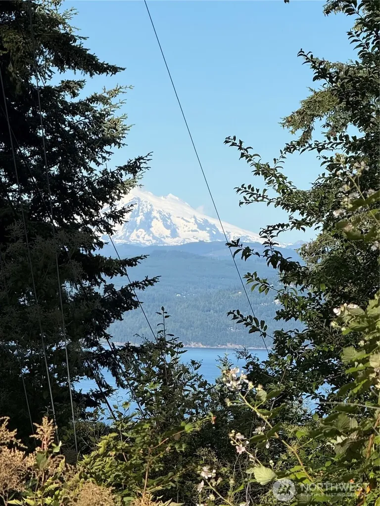 2959 Dogwood Terrace Lummi Island WA 98262