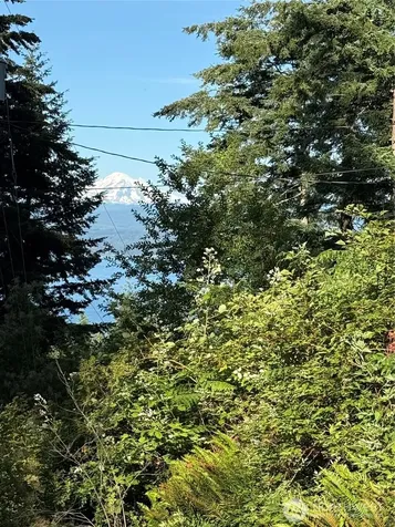 2959 Dogwood Terrace Lummi Island WA 98262