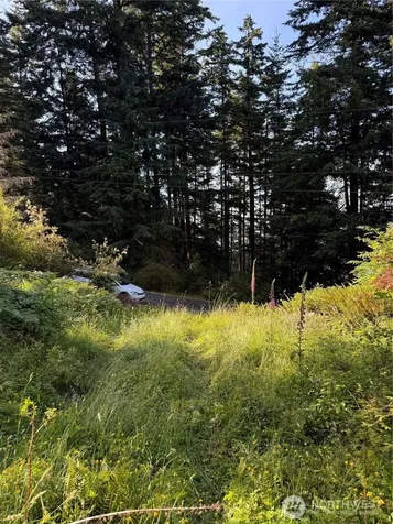 2959 Dogwood Terrace Lummi Island WA 98262
