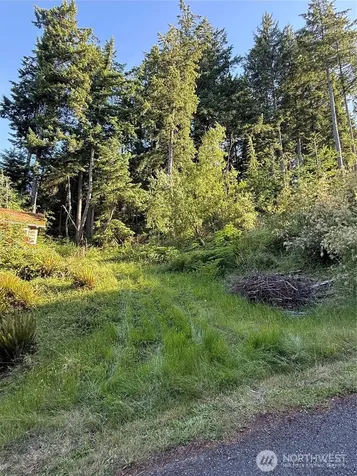 2959 Dogwood Terrace Lummi Island WA 98262