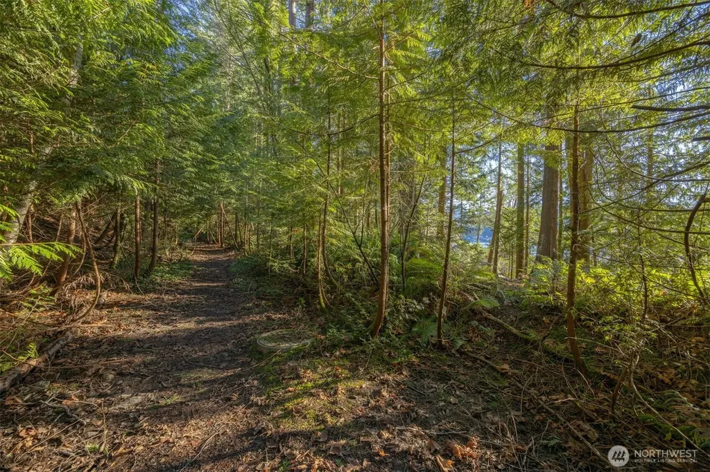 2111 Dellesta Drive Bellingham WA 98226