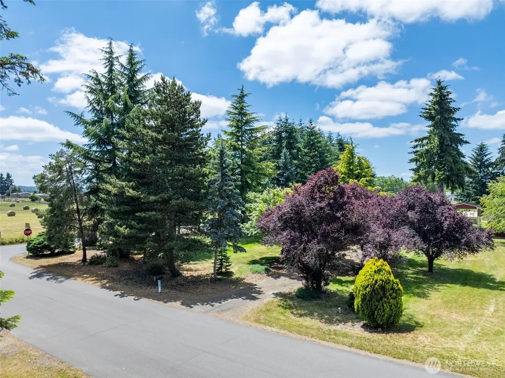 16239 Prairie Villa Street SW Tenino WA 98589