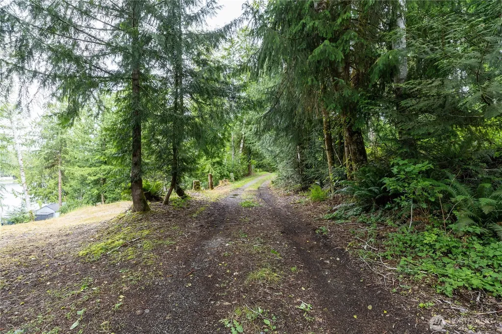460 W Arrowhead Drive Elma WA 98541