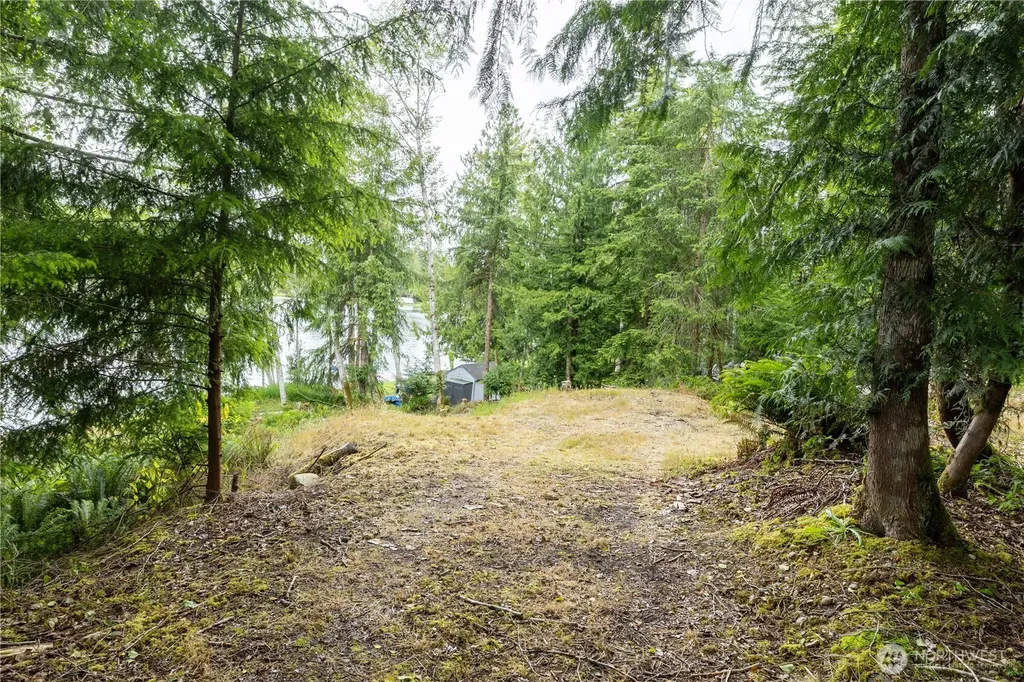 460 W Arrowhead Drive Elma WA 98541