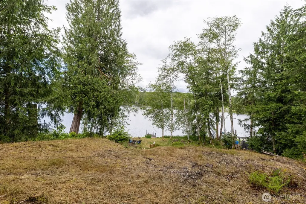 460 W Arrowhead Drive Elma WA 98541