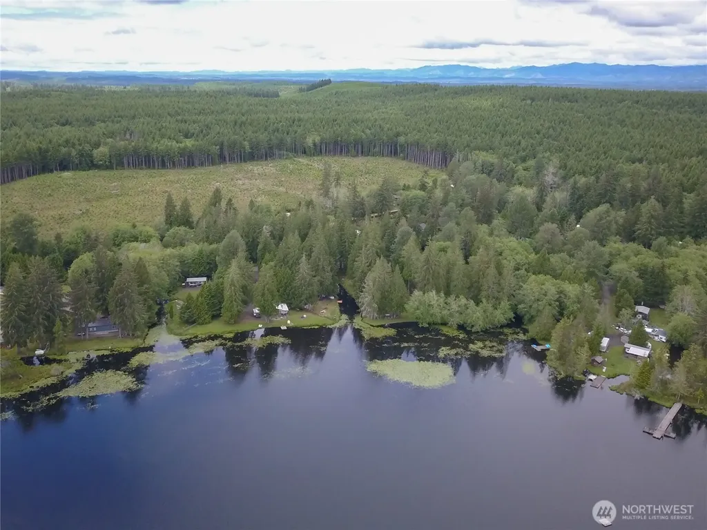 460 W Arrowhead Drive Elma WA 98541