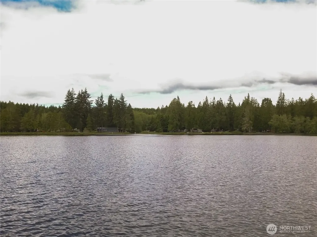 460 W Arrowhead Drive Elma WA 98541