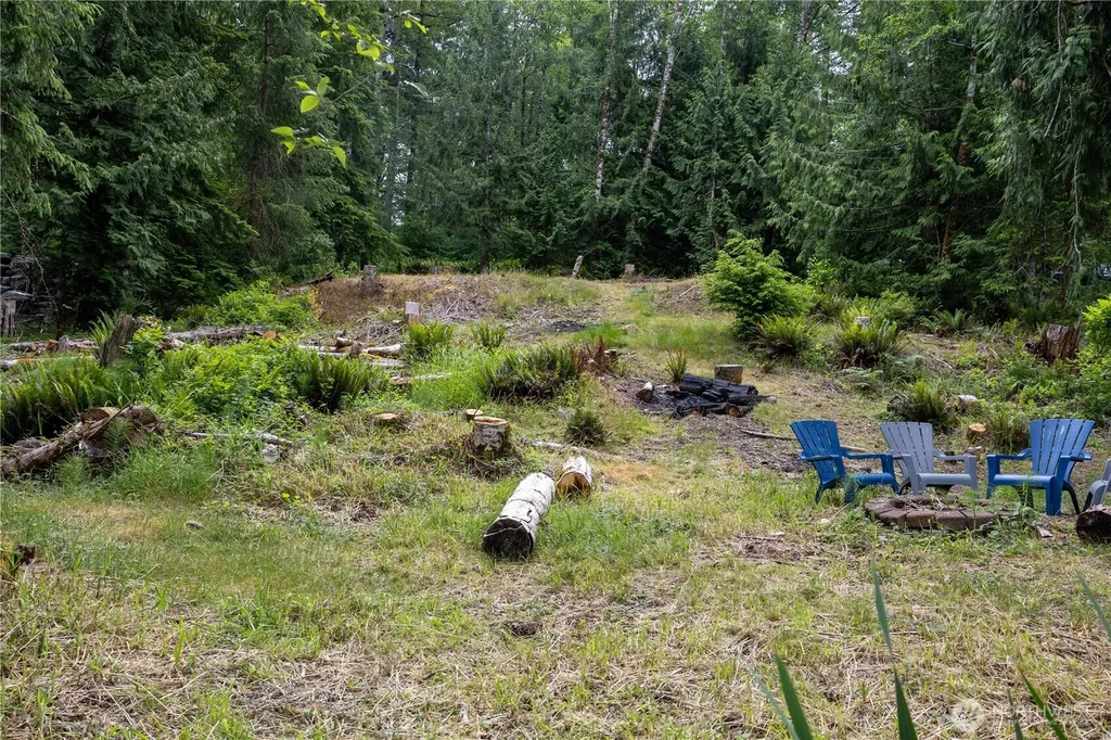 460 W Arrowhead Drive Elma WA 98541