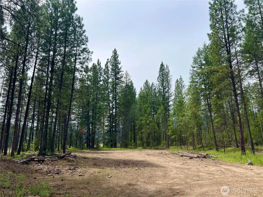 0 Siochanta Kettle Falls WA 99141