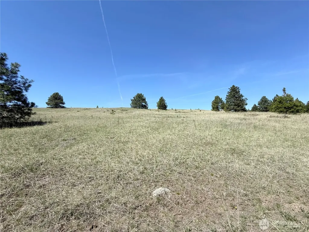 35 Sqove Road Wauconda WA 98859