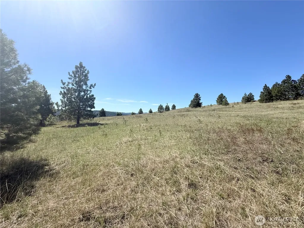 35 Sqove Road Wauconda WA 98859