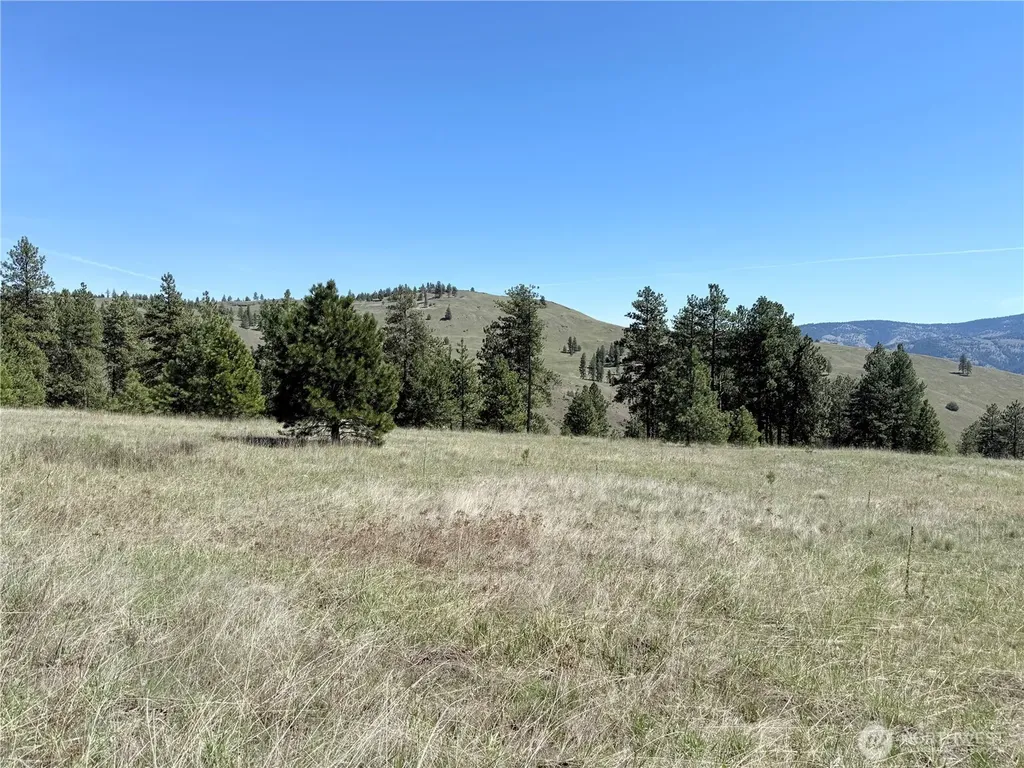 35 Sqove Road Wauconda WA 98859