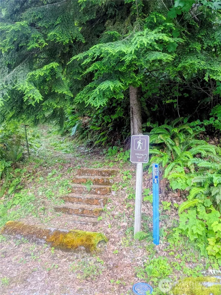 44787 Kachess Trail Concrete WA 98237